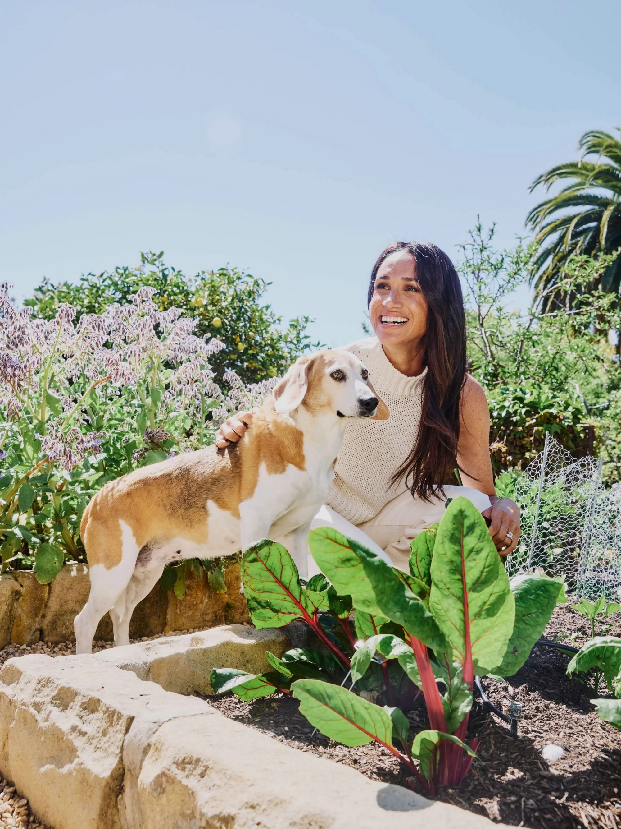 TheNewYorkTimes-0015.jpg TheNewYorkTimes-0015.jpg