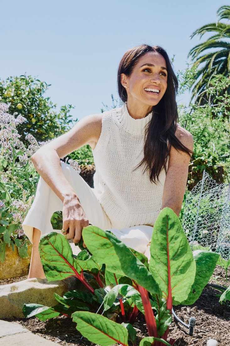 TheNewYorkTimes-0021.jpg TheNewYorkTimes-0021.jpg